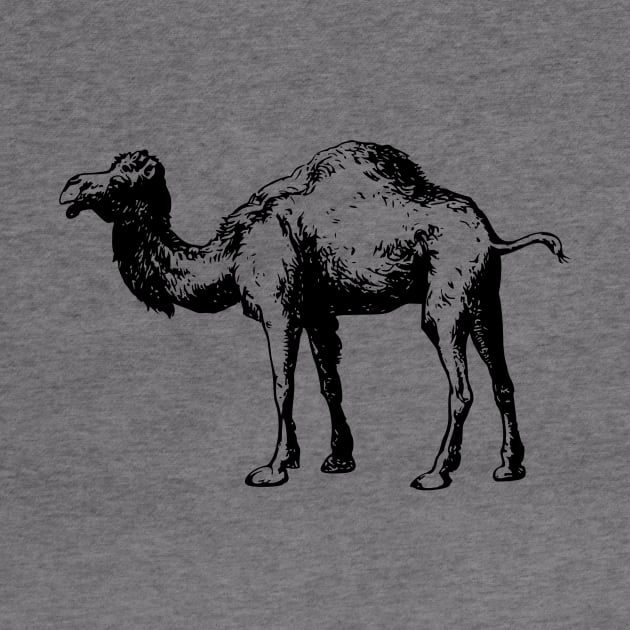 Camel by linesdesigns